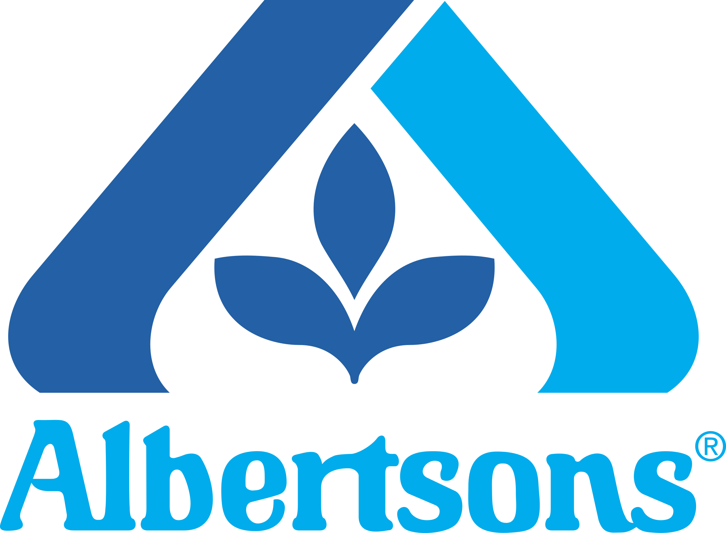 Albertsons Company Inc.
